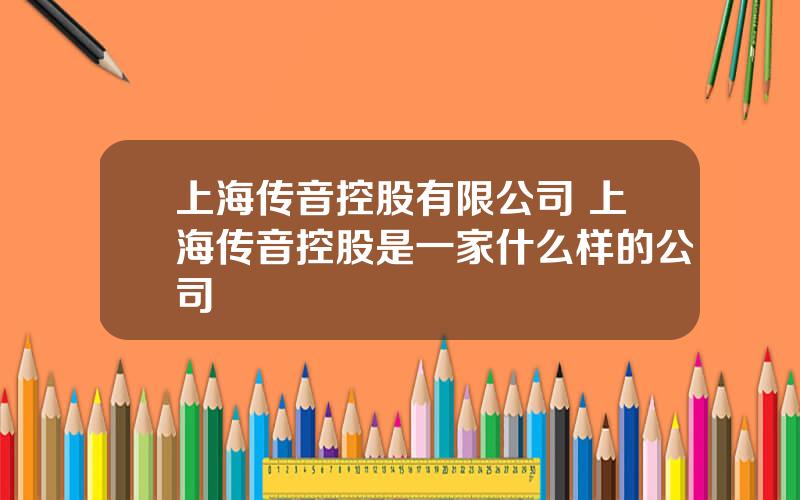 上海传音控股有限公司 上海传音控股是一家什么样的公司